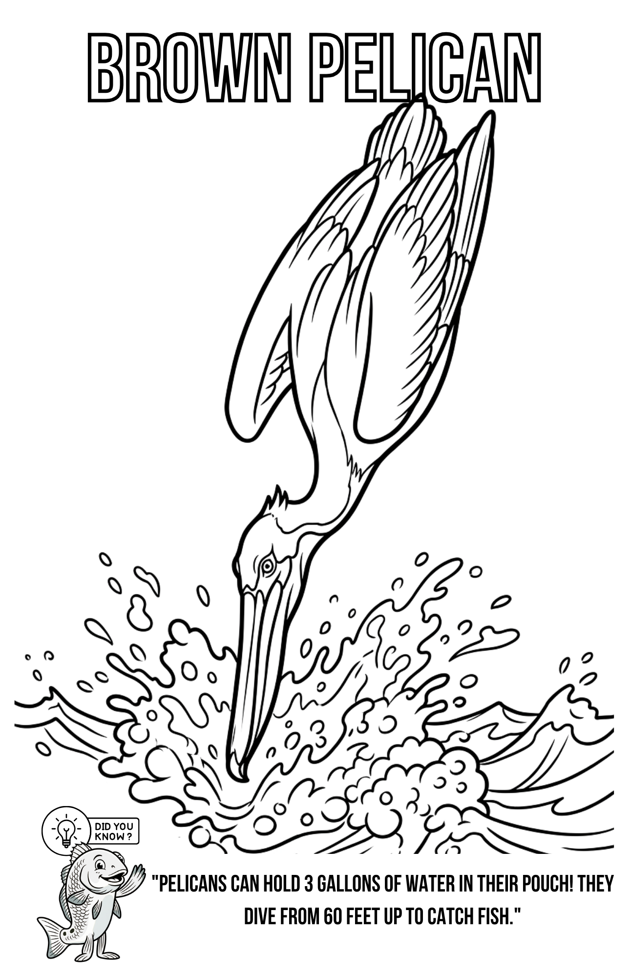 Florida Inshore Adventure Coloring Book | Digital PDF Download