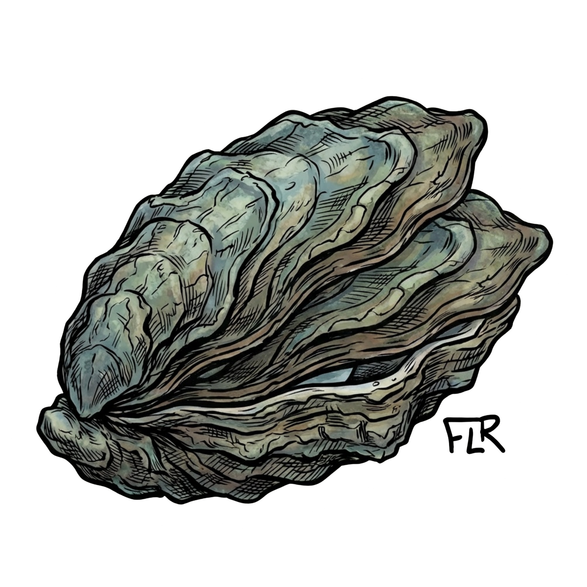 Small Vinyl Sticker (2-3") | Redfish & Coastal Designs
