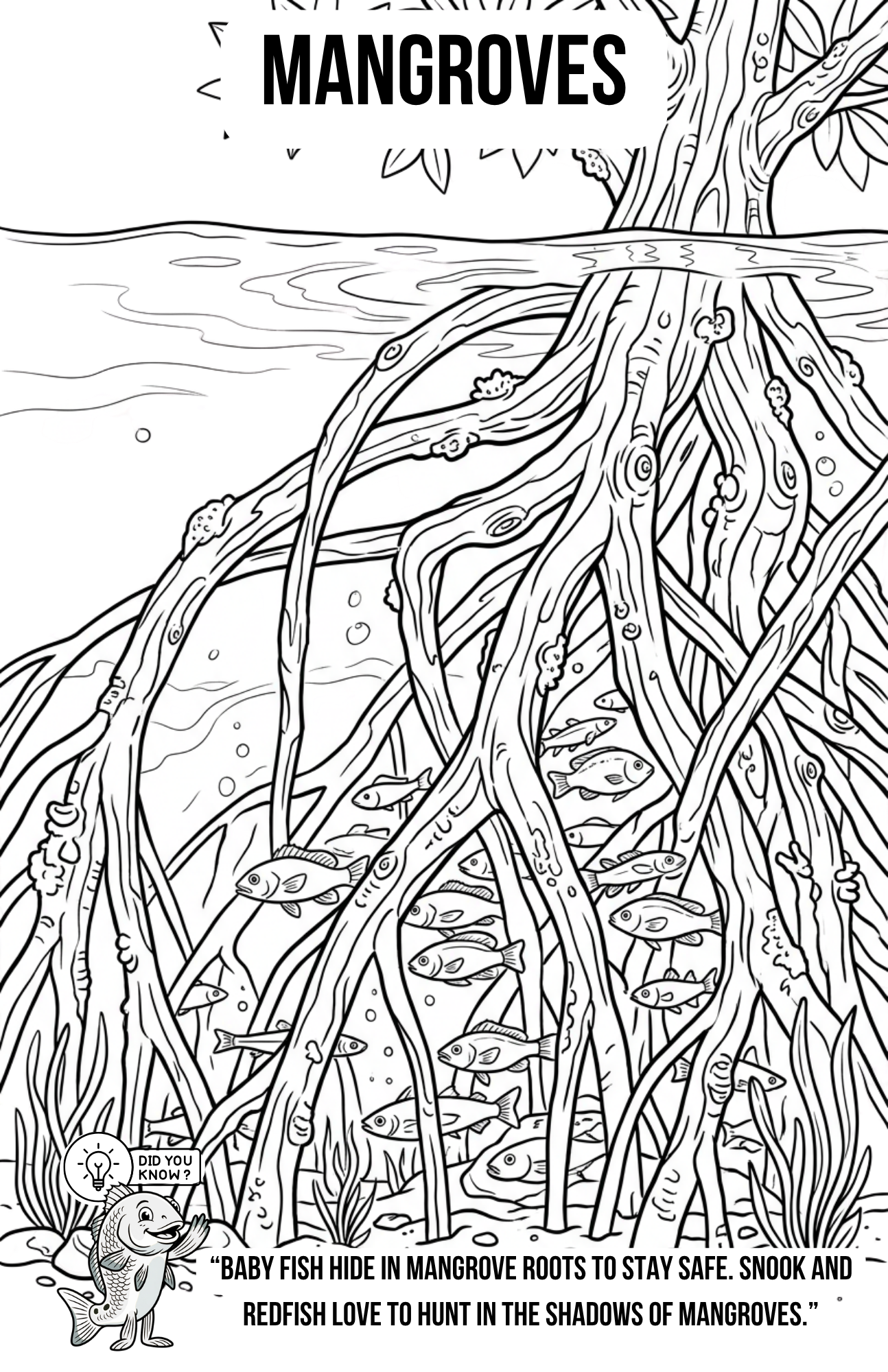 Florida Inshore Adventure Coloring Book | Kids Fishing Activity Book