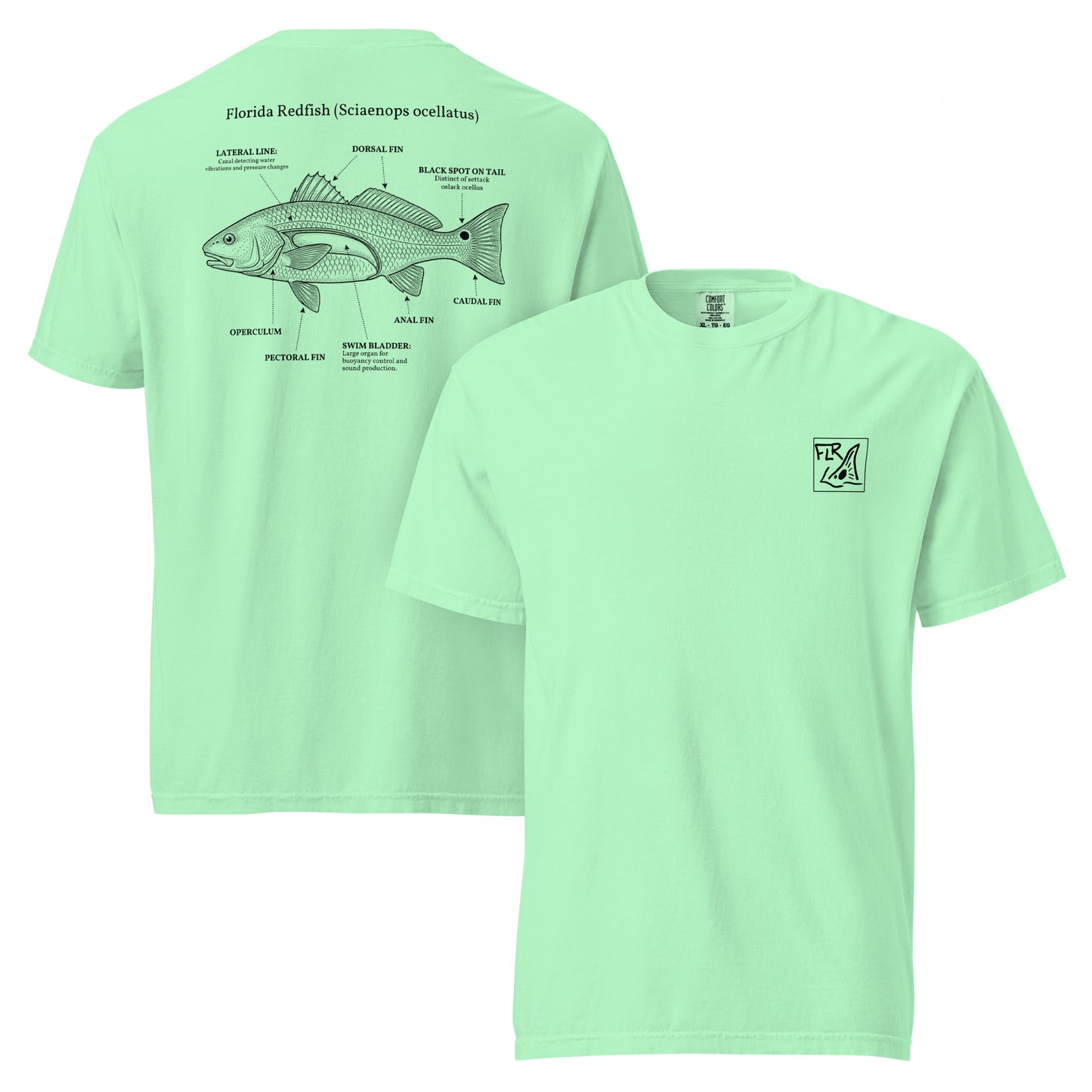 FLR Redfish Anatomy Outline T-Shirt | Florida Redfish Fishing Tee | Florida Redfish LLC