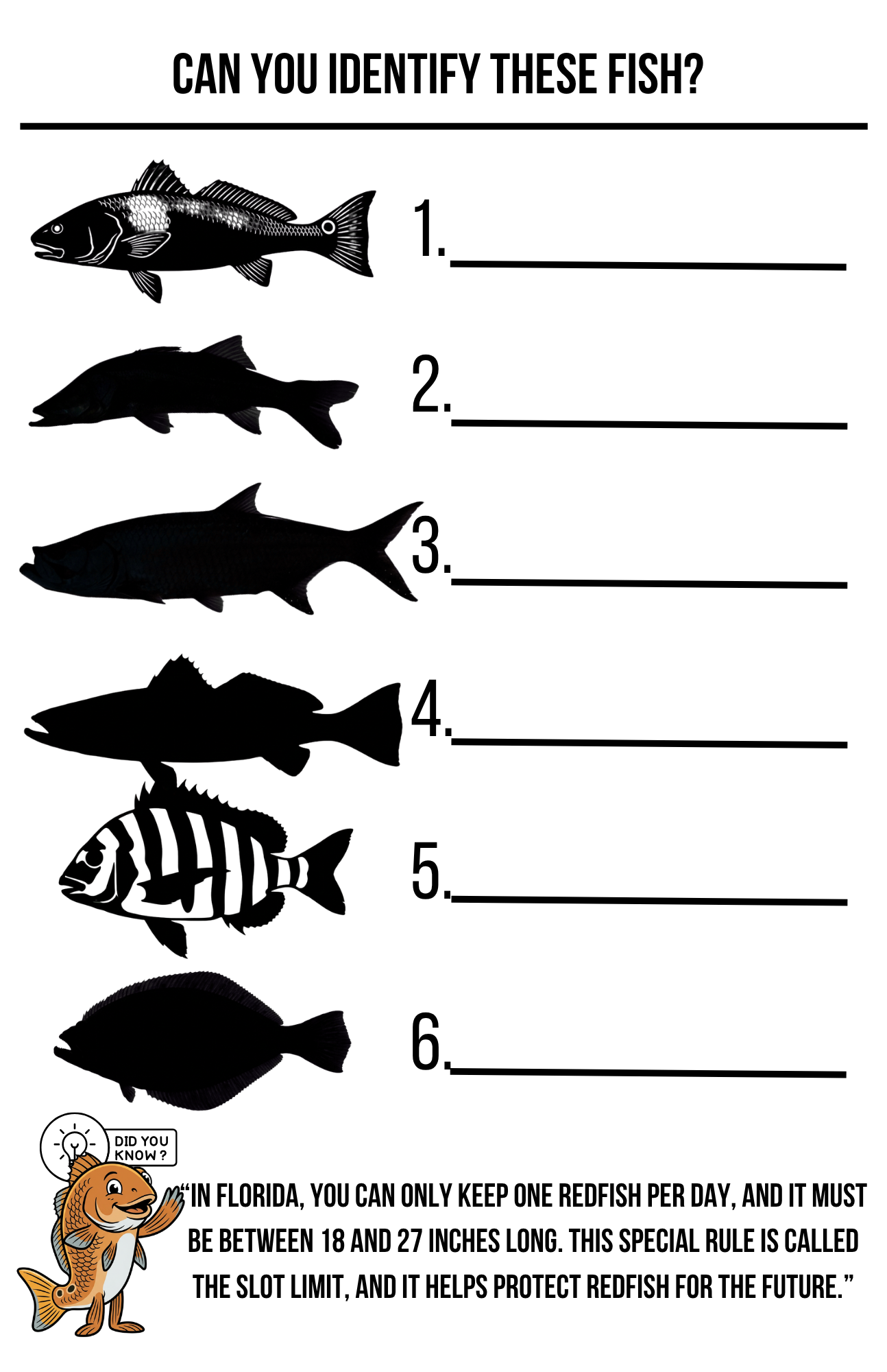 Florida Inshore Adventure Activity Book | Kids Fishing Activity Book