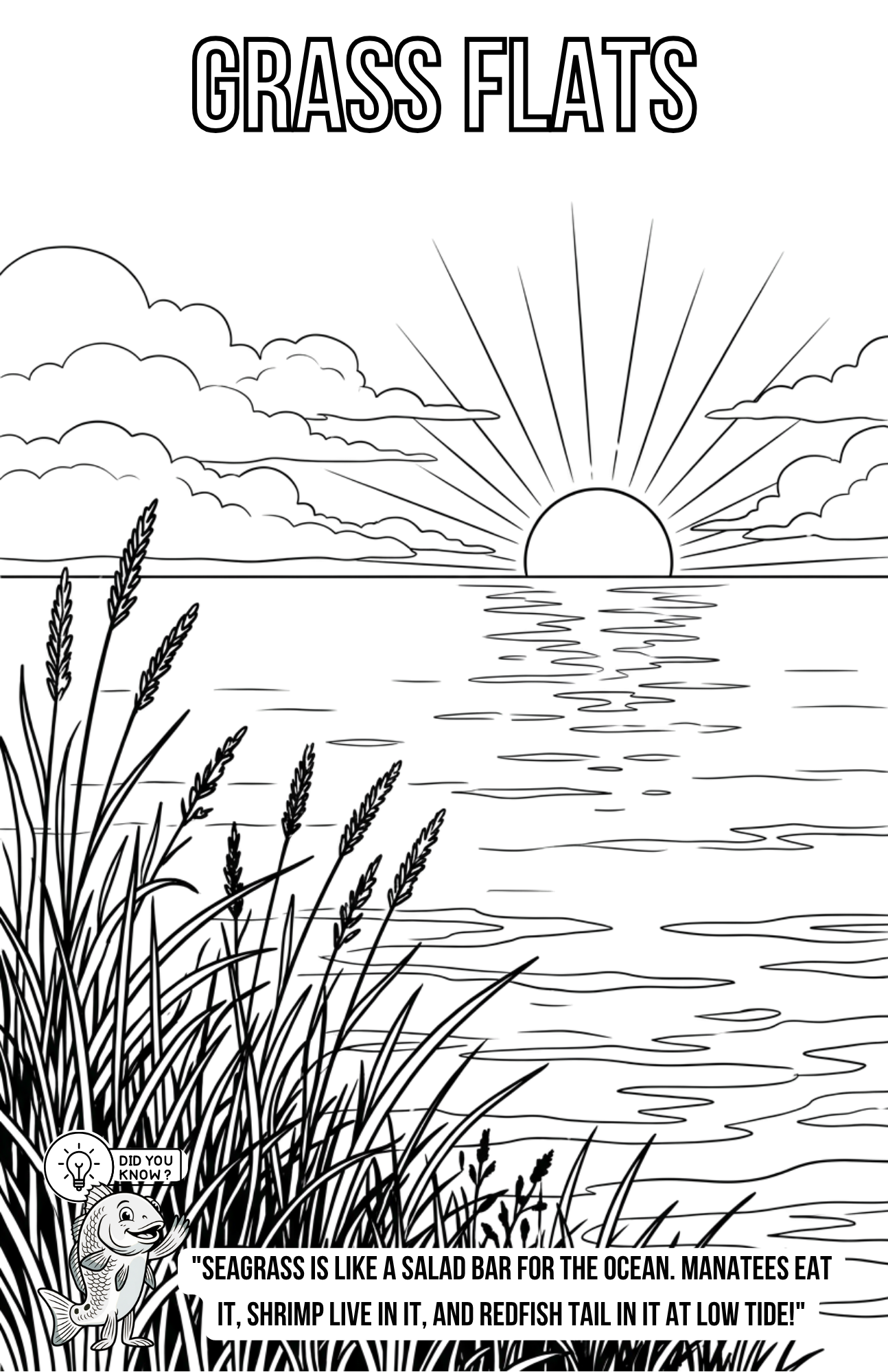 Florida Inshore Adventure Coloring Book | Digital PDF Download
