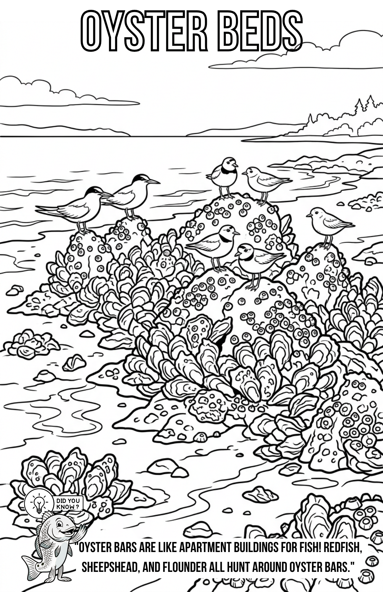 Florida Inshore Adventure Coloring Book | Kids Fishing Activity Book