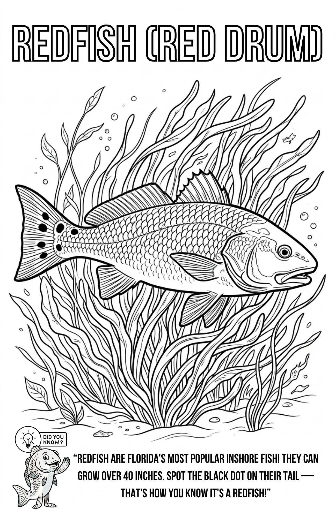 Florida Inshore Adventure Coloring Book | Digital PDF Download