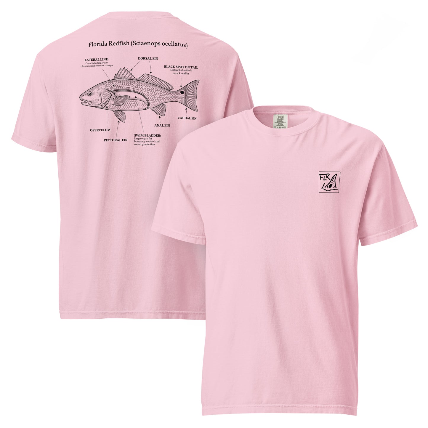 FLR Redfish Anatomy Outline T-Shirt | Florida Redfish Fishing Tee | Florida Redfish LLC