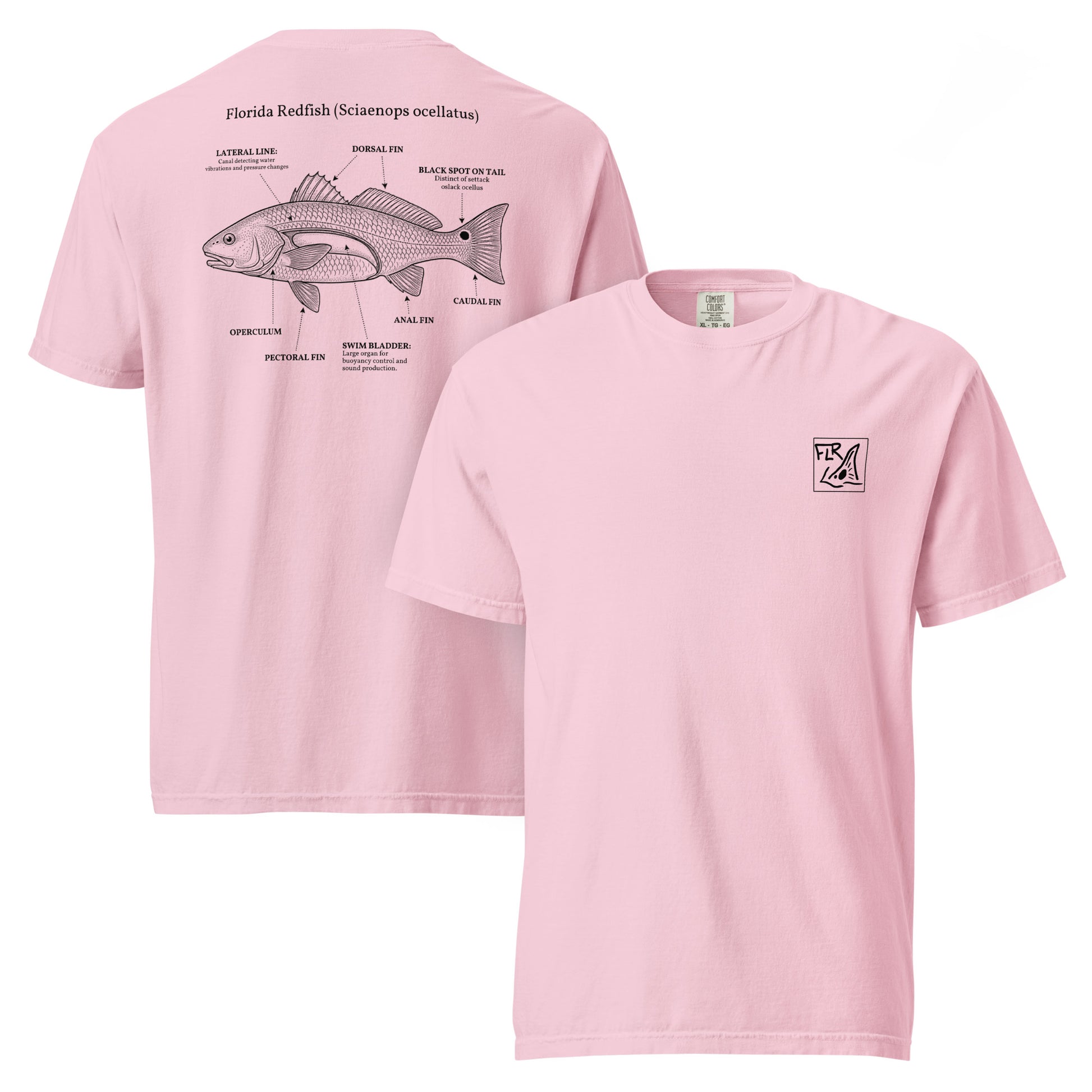 FLR Redfish Anatomy Outline T-Shirt | Florida Redfish Fishing Tee | Florida Redfish LLC