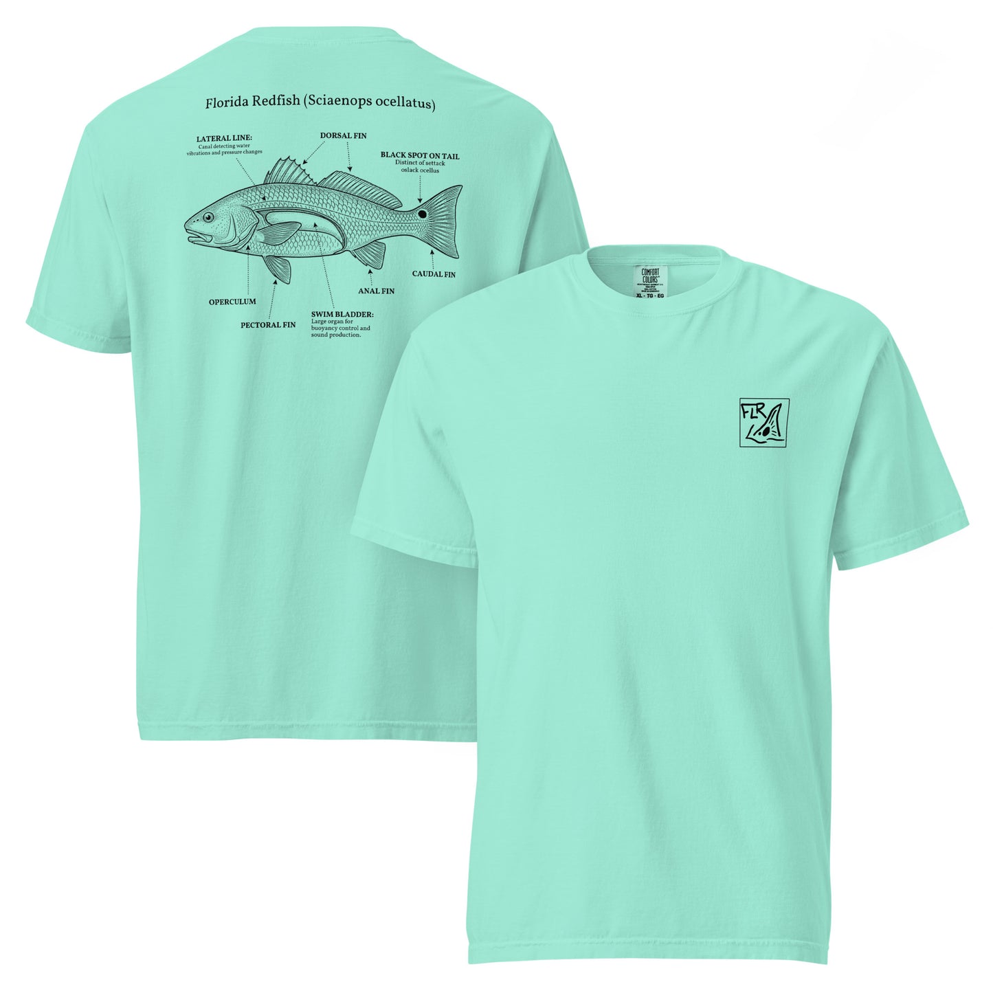 FLR Redfish Anatomy Outline T-Shirt | Florida Redfish Fishing Tee | Florida Redfish LLC