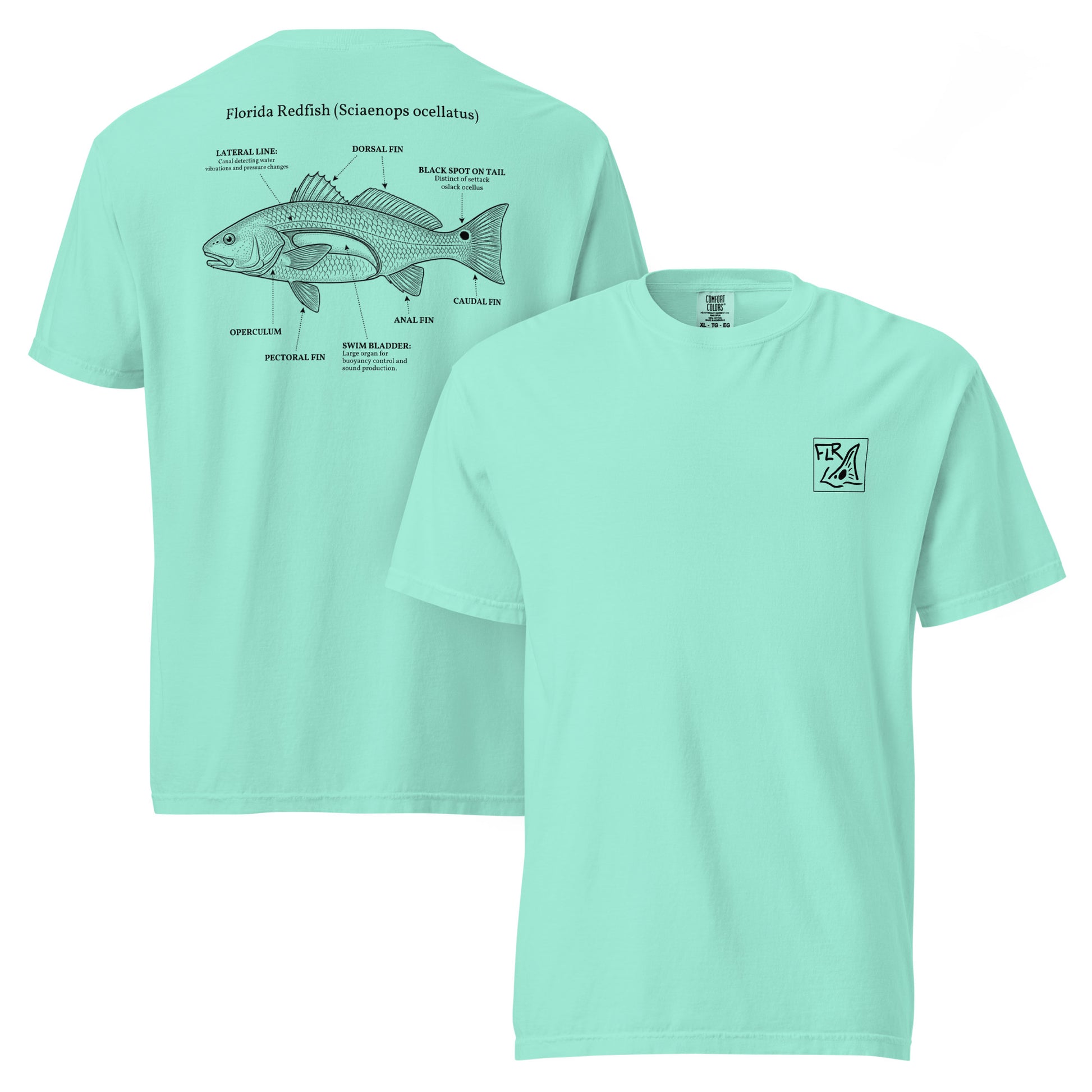 FLR Redfish Anatomy Outline T-Shirt | Florida Redfish Fishing Tee | Florida Redfish LLC