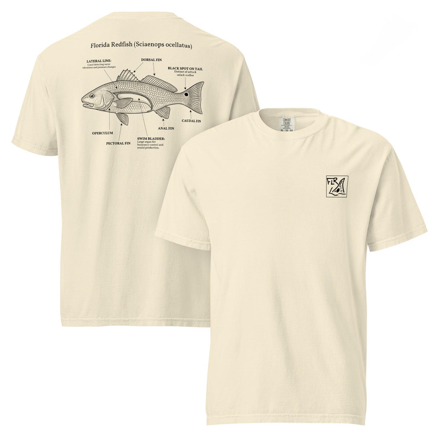 FLR Redfish Anatomy Outline T-Shirt | Florida Redfish Fishing Tee | Florida Redfish LLC
