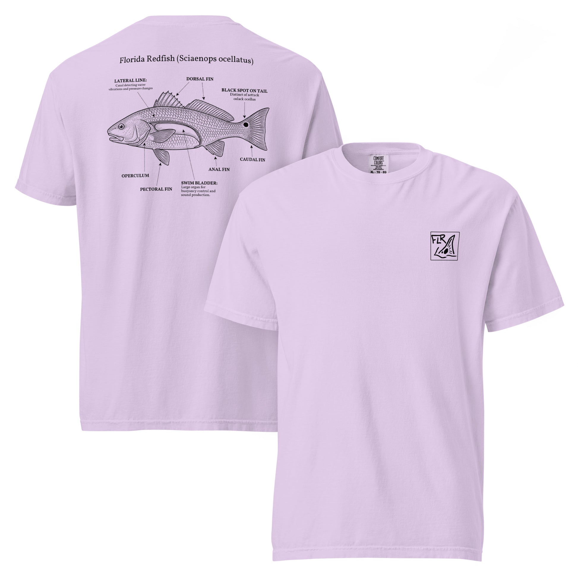 FLR Redfish Anatomy Outline T-Shirt | Florida Redfish Fishing Tee | Florida Redfish LLC