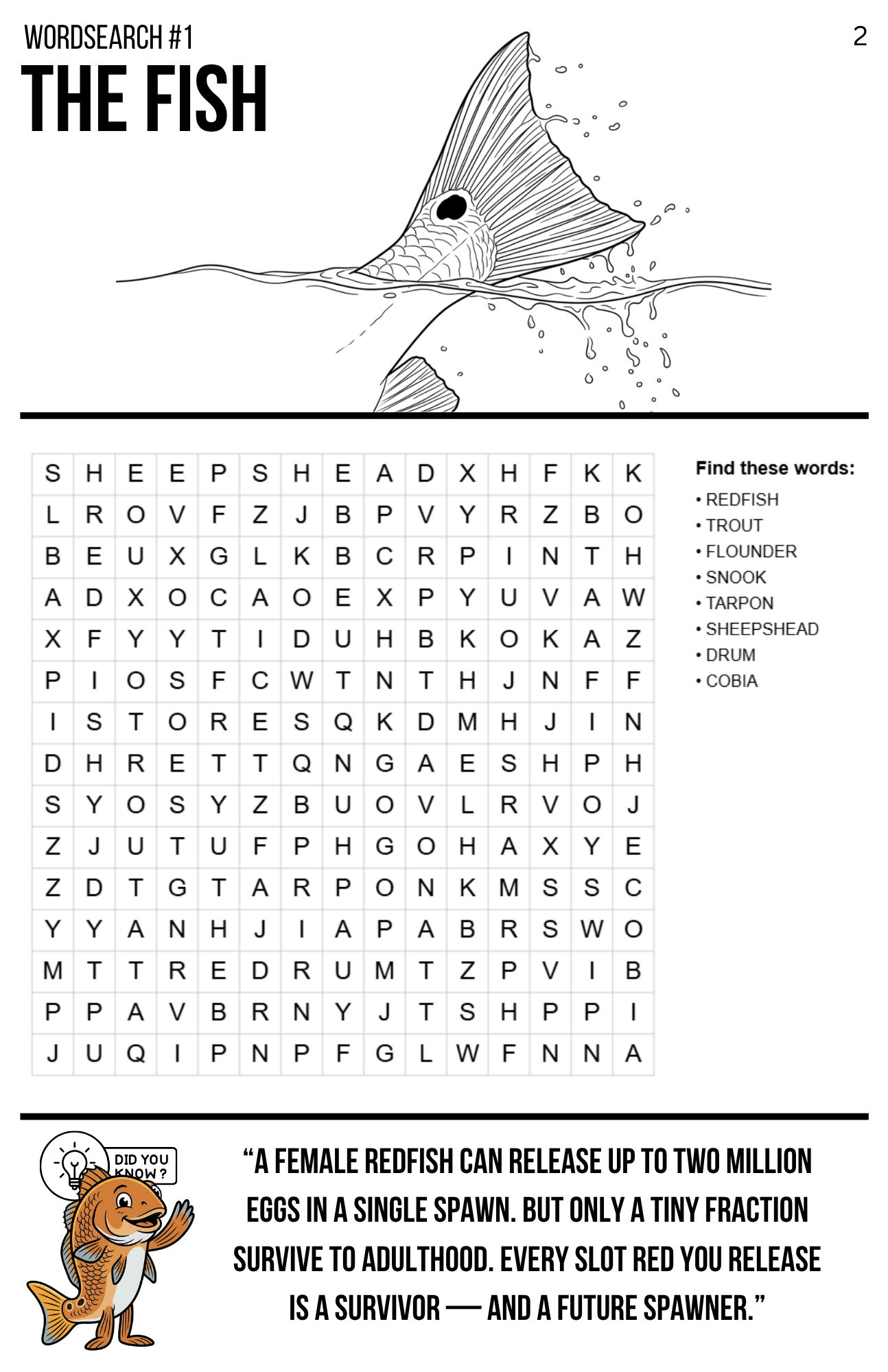 Florida Inshore Adventure Activity Book | Kids Fishing Activity Book