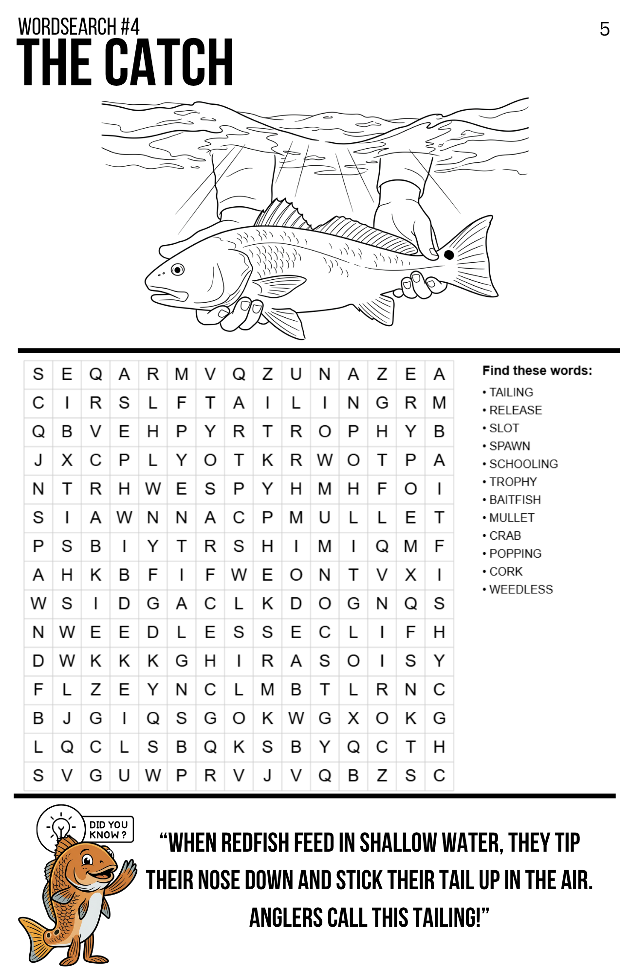 Florida Inshore Adventure Activity Book | Kids Fishing Activity Book